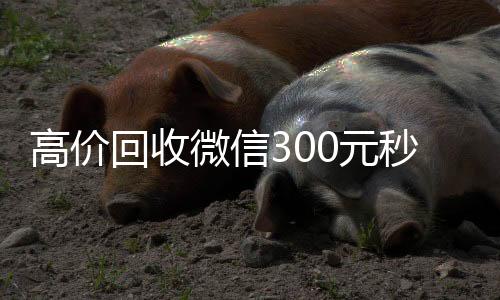高价回收微信300在线收微信元秒结（高价回收vx300元秒结）